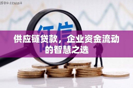 乳源供应链贷款，企业资金流动的智慧之选