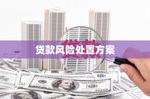 乳源贷款风险处置方案