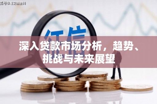 乳源深入贷款市场分析，趋势、挑战与未来展望