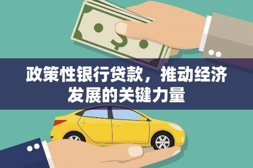 乳源政策性银行贷款，推动经济发展的关键力量