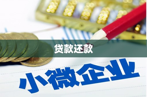 乳源贷款还款