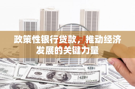 乳源政策性银行贷款，推动经济发展的关键力量