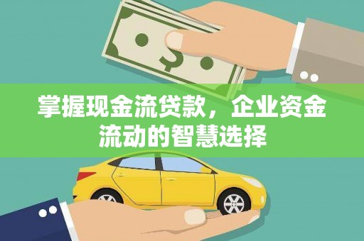 乳源掌握现金流贷款，企业资金流动的智慧选择