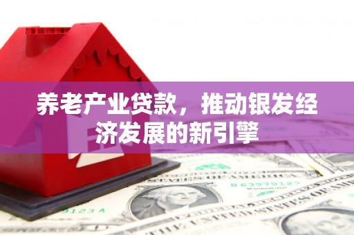 乳源养老产业贷款，推动银发经济发展的新引擎