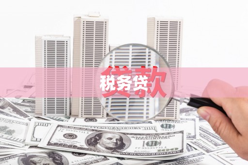 乳源税务贷