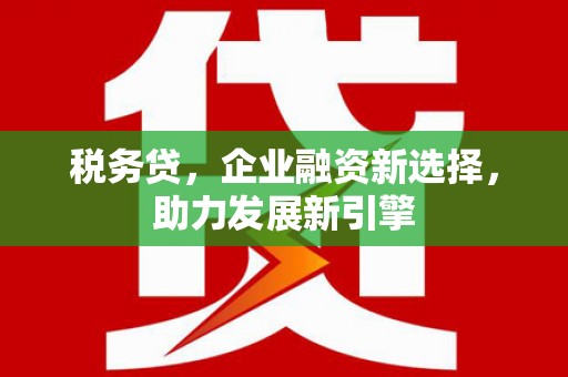 乳源税务贷，企业融资新选择，助力发展新引擎