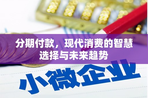 乳源分期付款，现代消费的智慧选择与未来趋势