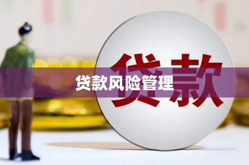 乳源贷款风险管理