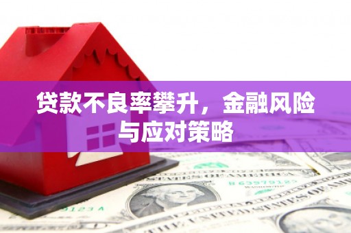 乳源贷款不良率攀升，金融风险与应对策略