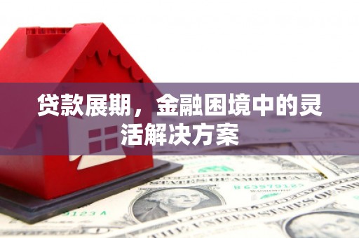 乳源贷款展期，金融困境中的灵活解决方案