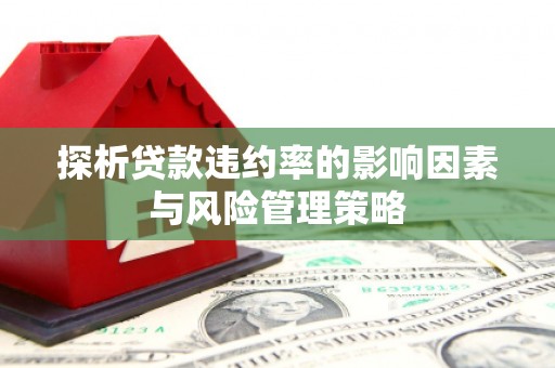 乳源探析贷款违约率的影响因素与风险管理策略