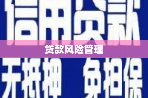 乳源贷款风险管理