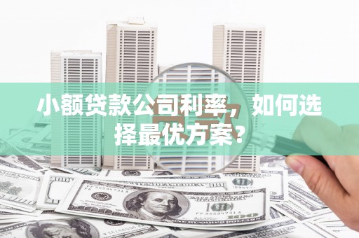 乳源小额贷款公司利率，如何选择最优方案？