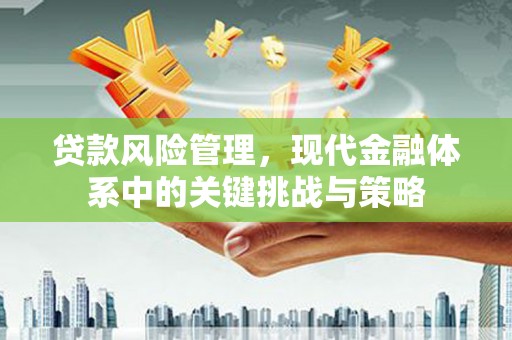 乳源贷款风险管理，现代金融体系中的关键挑战与策略
