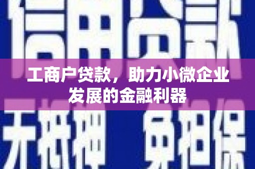乳源工商户贷款，助力小微企业发展的金融利器