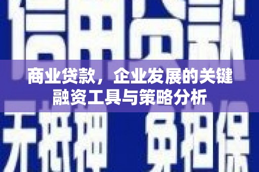 乳源商业贷款，企业发展的关键融资工具与策略分析