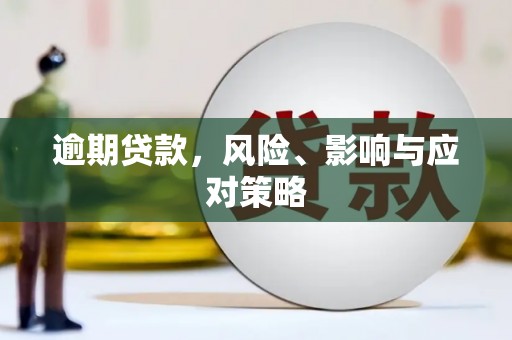 乳源逾期贷款，风险、影响与应对策略
