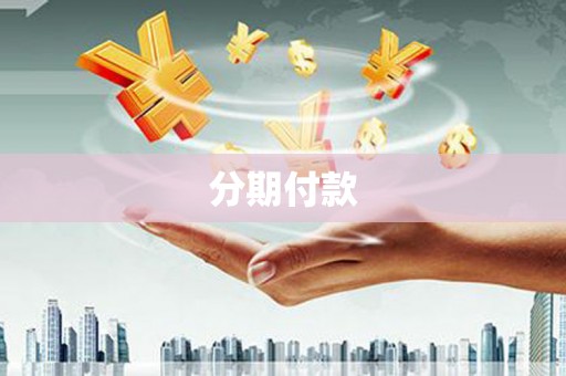 乳源分期付款