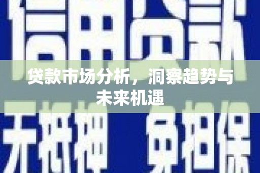 乳源贷款市场分析，洞察趋势与未来机遇