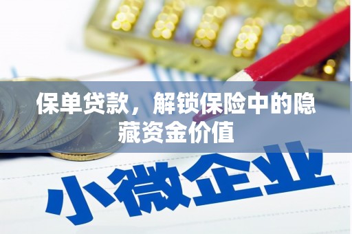 乳源保单贷款，解锁保险中的隐藏资金价值