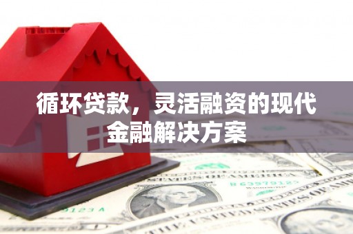 乳源循环贷款，灵活融资的现代金融解决方案