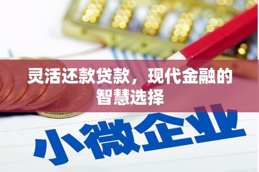乳源灵活还款贷款，现代金融的智慧选择