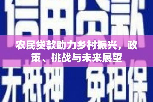 乳源农民贷款助力乡村振兴，政策、挑战与未来展望