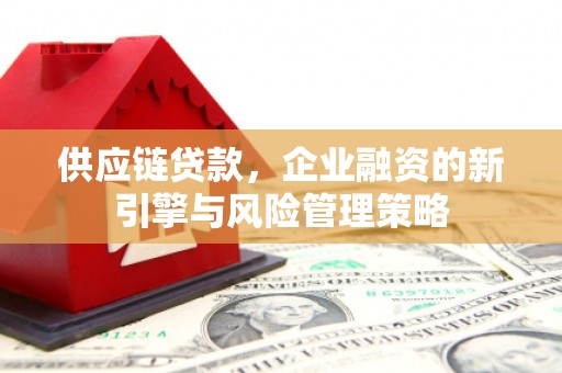乳源供应链贷款，企业融资的新引擎与风险管理策略