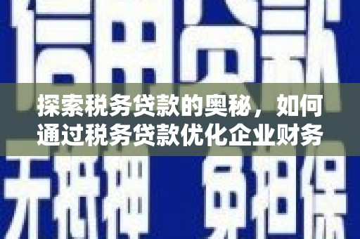 乳源探索税务贷款的奥秘，如何通过税务贷款优化企业财务