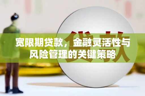 乳源宽限期贷款，金融灵活性与风险管理的关键策略