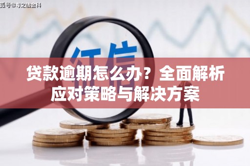乳源贷款逾期怎么办？全面解析应对策略与解决方案