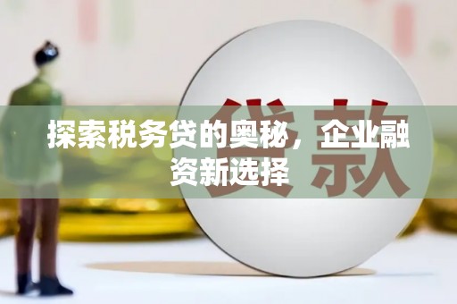 乳源探索税务贷的奥秘，企业融资新选择