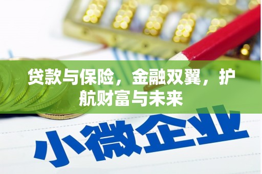 乳源贷款与保险，金融双翼，护航财富与未来
