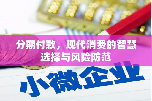 乳源分期付款，现代消费的智慧选择与风险防范