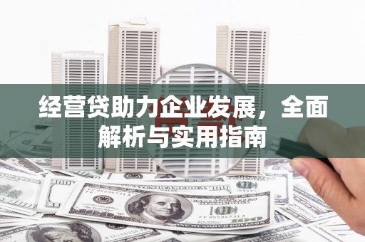 乳源经营贷助力企业发展，全面解析与实用指南