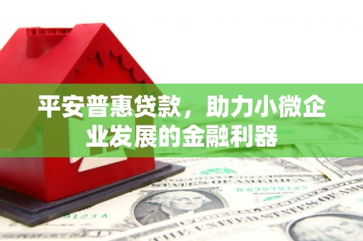 乳源平安普惠贷款，助力小微企业发展的金融利器
