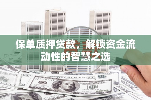 乳源保单质押贷款，解锁资金流动性的智慧之选