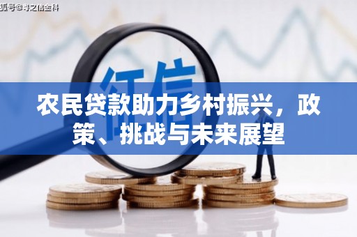 乳源农民贷款助力乡村振兴，政策、挑战与未来展望