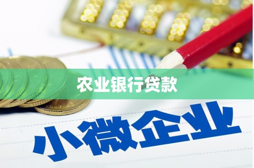 乳源农业银行贷款