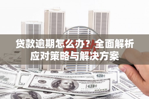 乳源贷款逾期怎么办？全面解析应对策略与解决方案