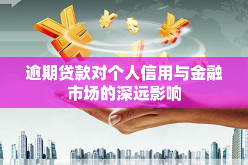 乳源逾期贷款对个人信用与金融市场的深远影响