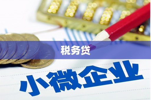 乳源税务贷