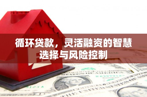乳源循环贷款，灵活融资的智慧选择与风险控制