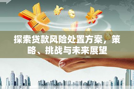 乳源探索贷款风险处置方案，策略、挑战与未来展望