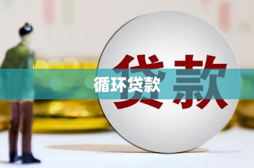 乳源循环贷款