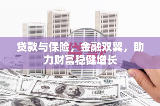 乳源贷款与保险，金融双翼，助力财富稳健增长