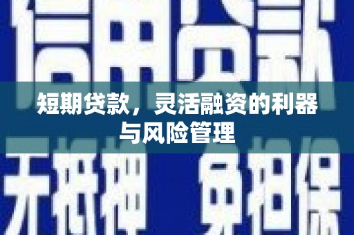 乳源短期贷款，灵活融资的利器与风险管理