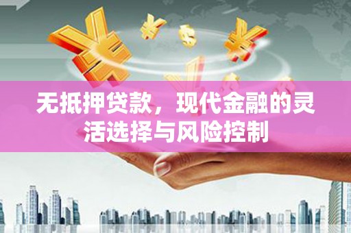 乳源无抵押贷款，现代金融的灵活选择与风险控制