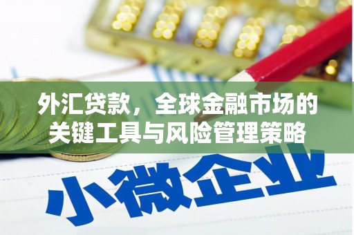 乳源外汇贷款，全球金融市场的关键工具与风险管理策略