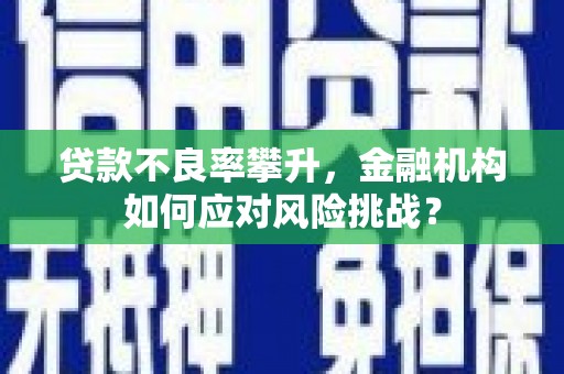 乳源贷款不良率攀升，金融机构如何应对风险挑战？